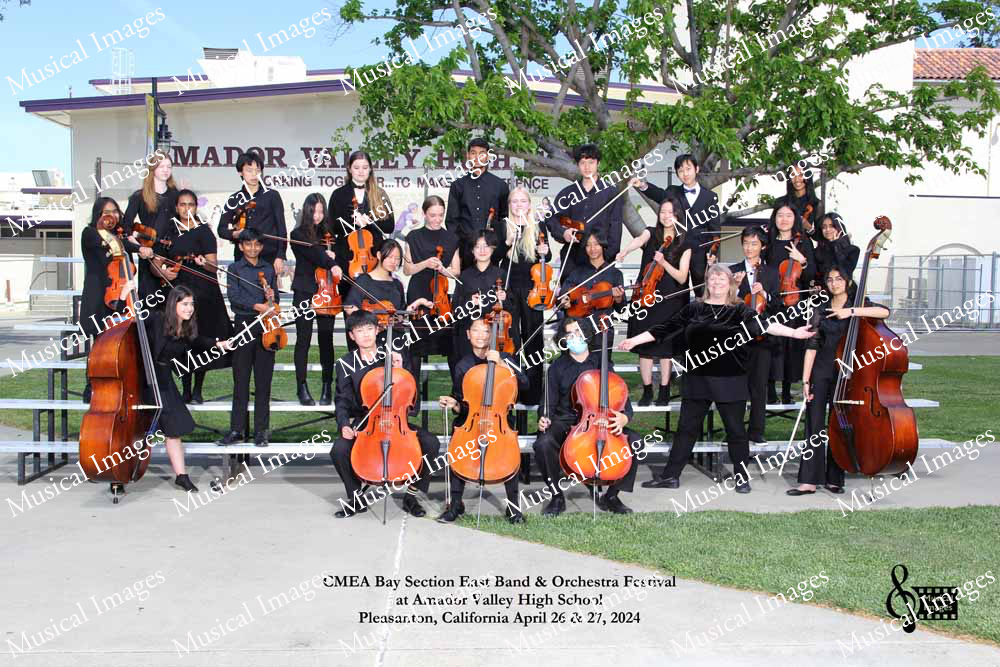 Musical Images